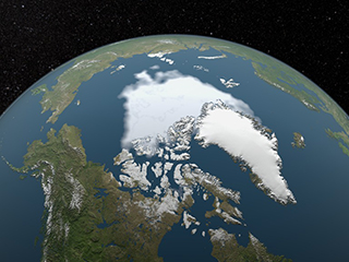 Both the extent and thickness of Arctic sea ice has declined rapidly over the last several decades